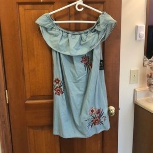 Express Denim Dress